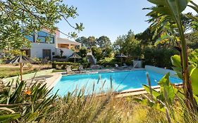 Casa Do Palmeiral - Hoom B&B